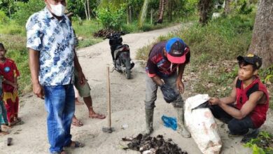 Ilustrasi penangkapan tikus oleh warga