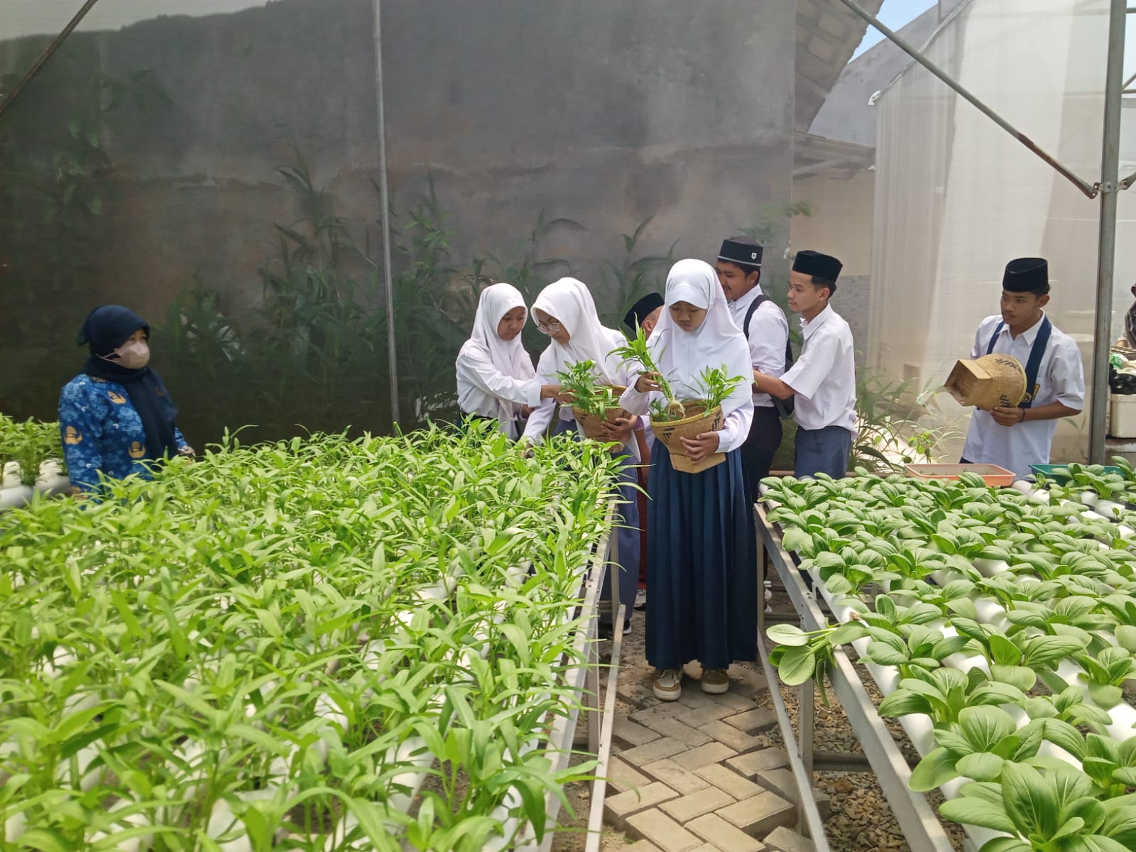 ‎MENANAM SAYURAN: Sejumlah siswa SLB Yakalimu Wanayasa tampak antusias mempraktikkan cara menanam sayuran hidroponik di Almuhajirin Farm, Jalan Veteran, Kabupaten Purwakarta, Selasa (11/11).
