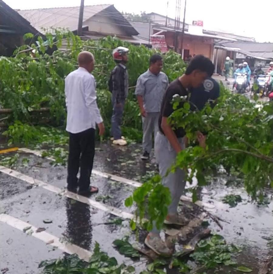 POHON TUMBANG: Pohon tumbang menutupi jalan umum di Bungursari, Kabupaten Purwakarta.