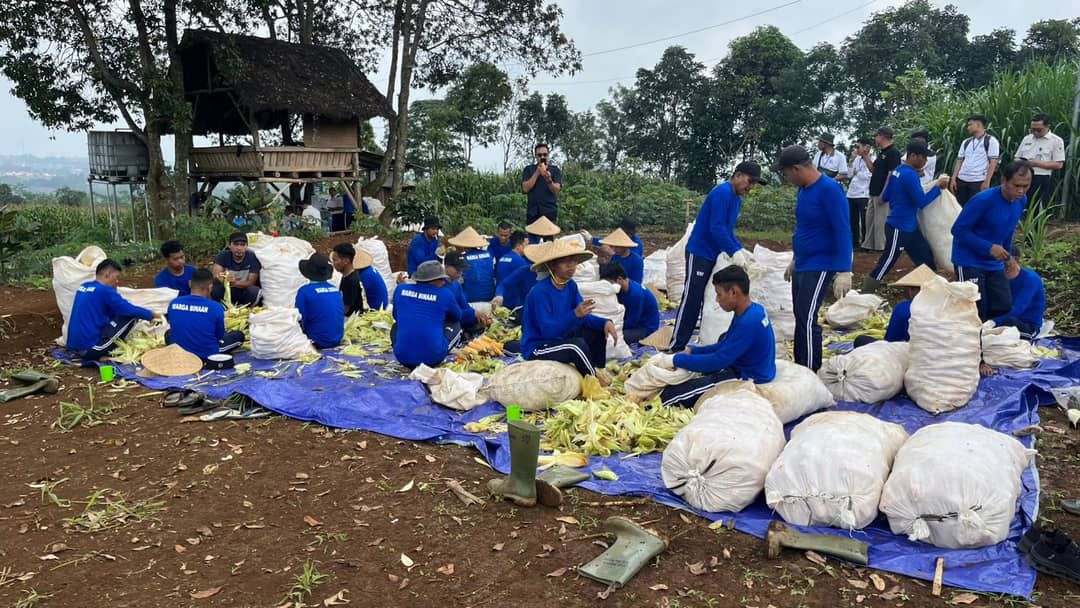 WARGA BINAAN:Warga Binaan Lapas Kelas IIB Purwakarta diberdayakan mengelola lahan pertanian.
