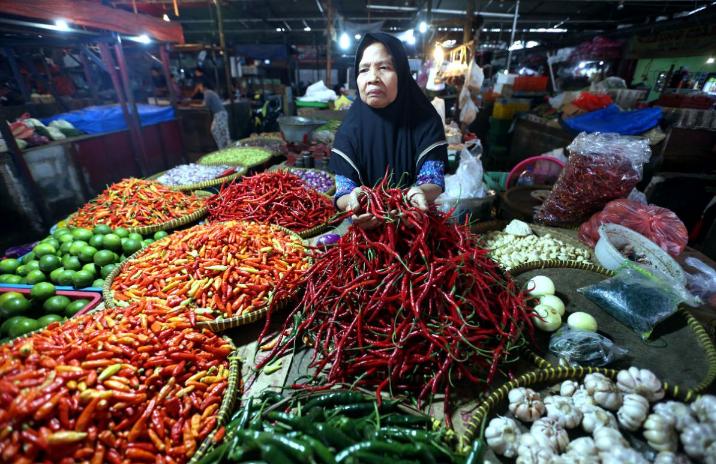 HARGA CABAI: arga cabai rawat tembus Rp72.000.